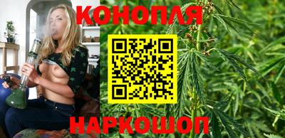спиды Можга