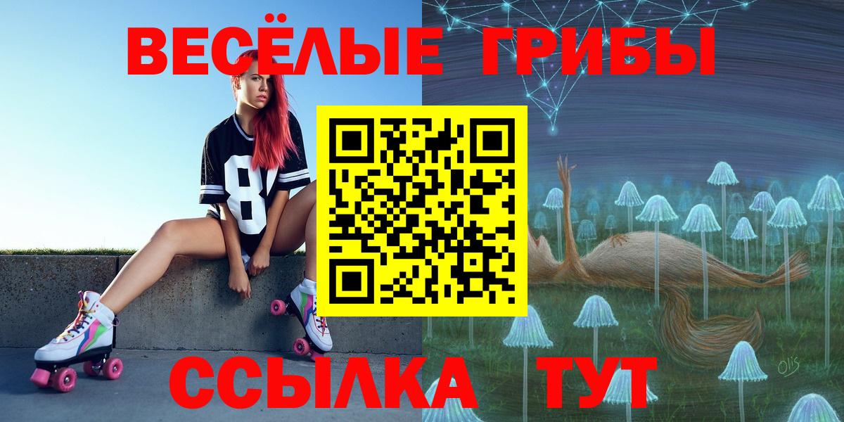 где купить наркоту  Псилоцибиновые грибы прущие грибы  Черногорск  Вход с VPN  Галлюциногенные грибы мухоморы 